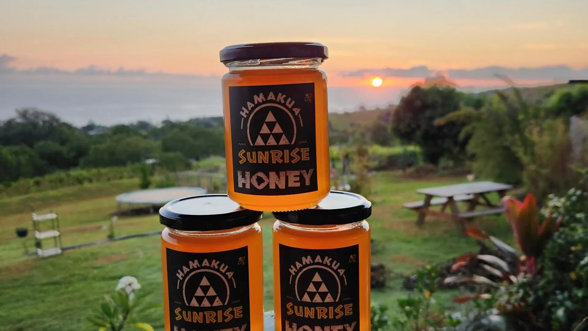 度假居 Sunrise Farm Cottage II - 180 Degree Oceanviews Stargazing Whale Watching On Hamakua Coast Hawaii Papaaloa