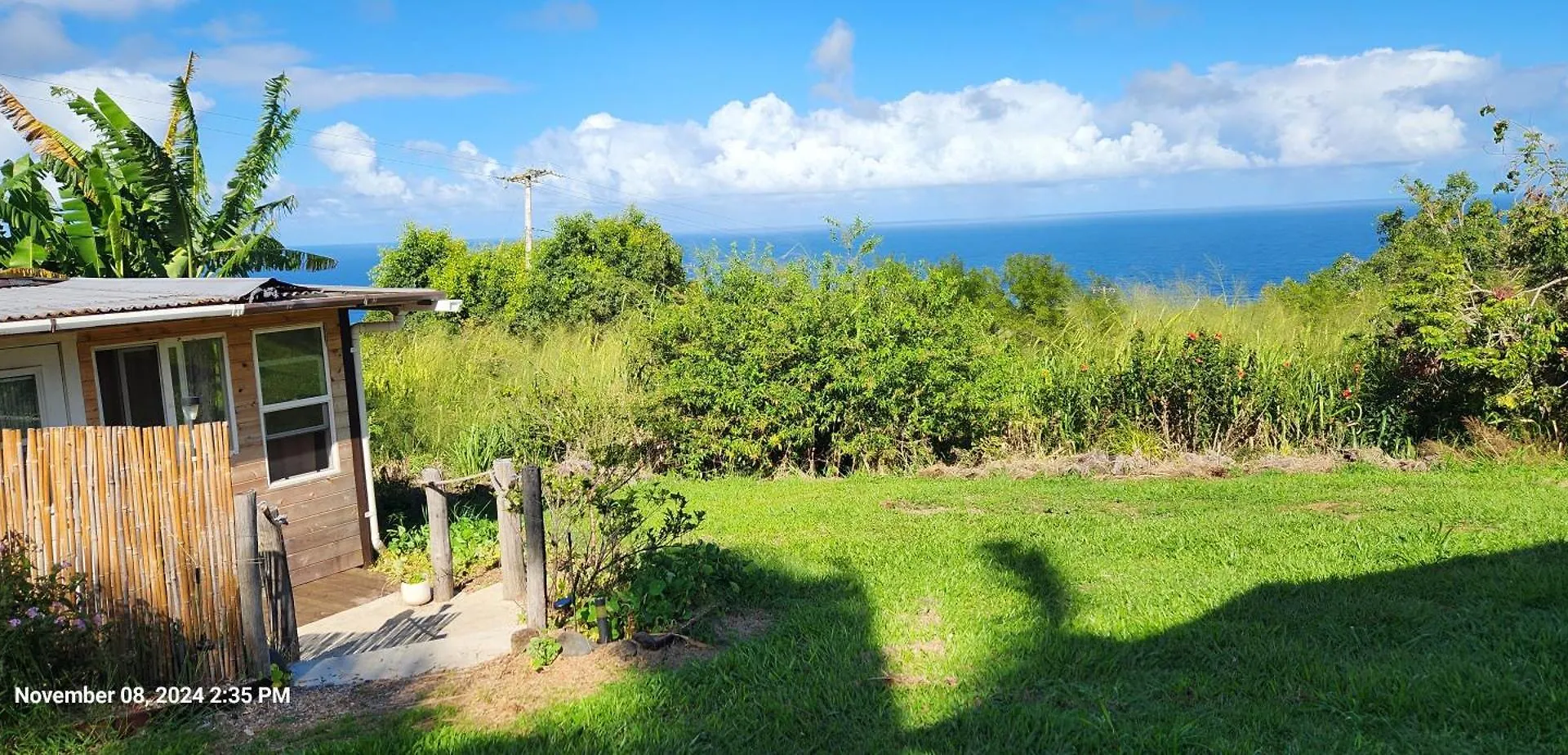 Sunrise Farm Cottage II - 180 Degree Oceanviews Stargazing Whale Watching On Hamakua Coast Hawaii Papaaloa  美国