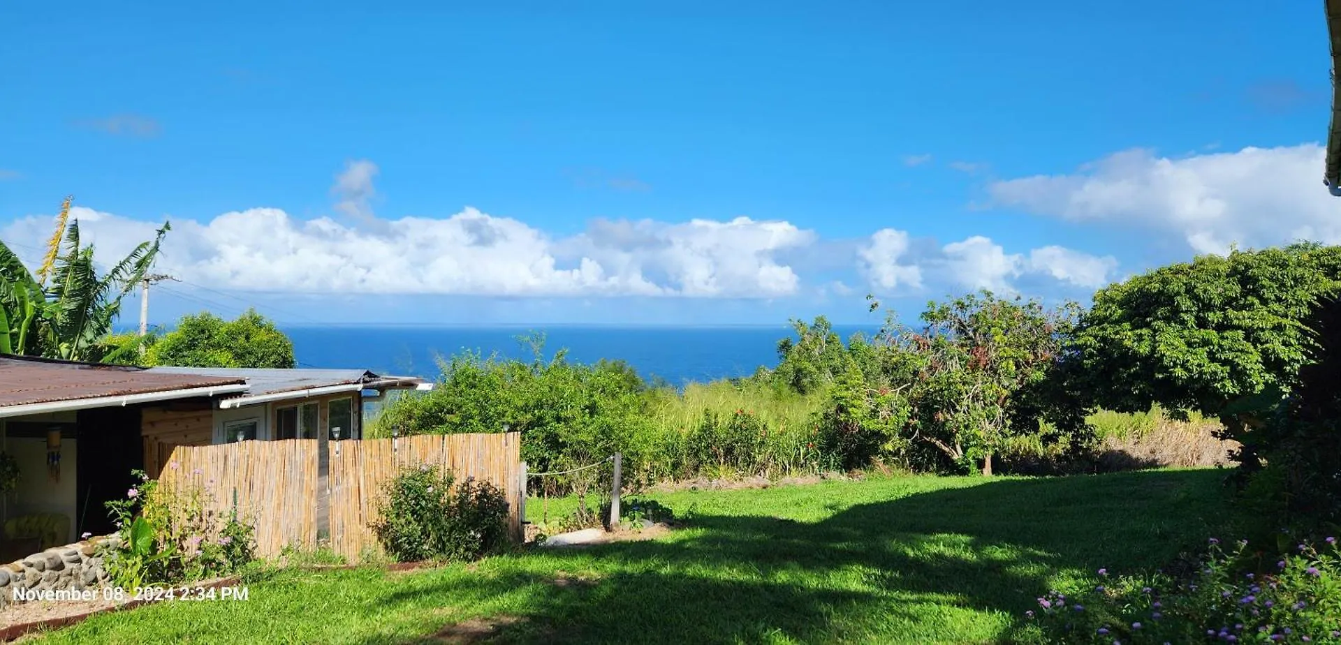 Sunrise Farm Cottage II - 180 Degree Oceanviews Stargazing Whale Watching On Hamakua Coast Hawaii Papaaloa  0*, Papaaloa (Hawaii) 美国