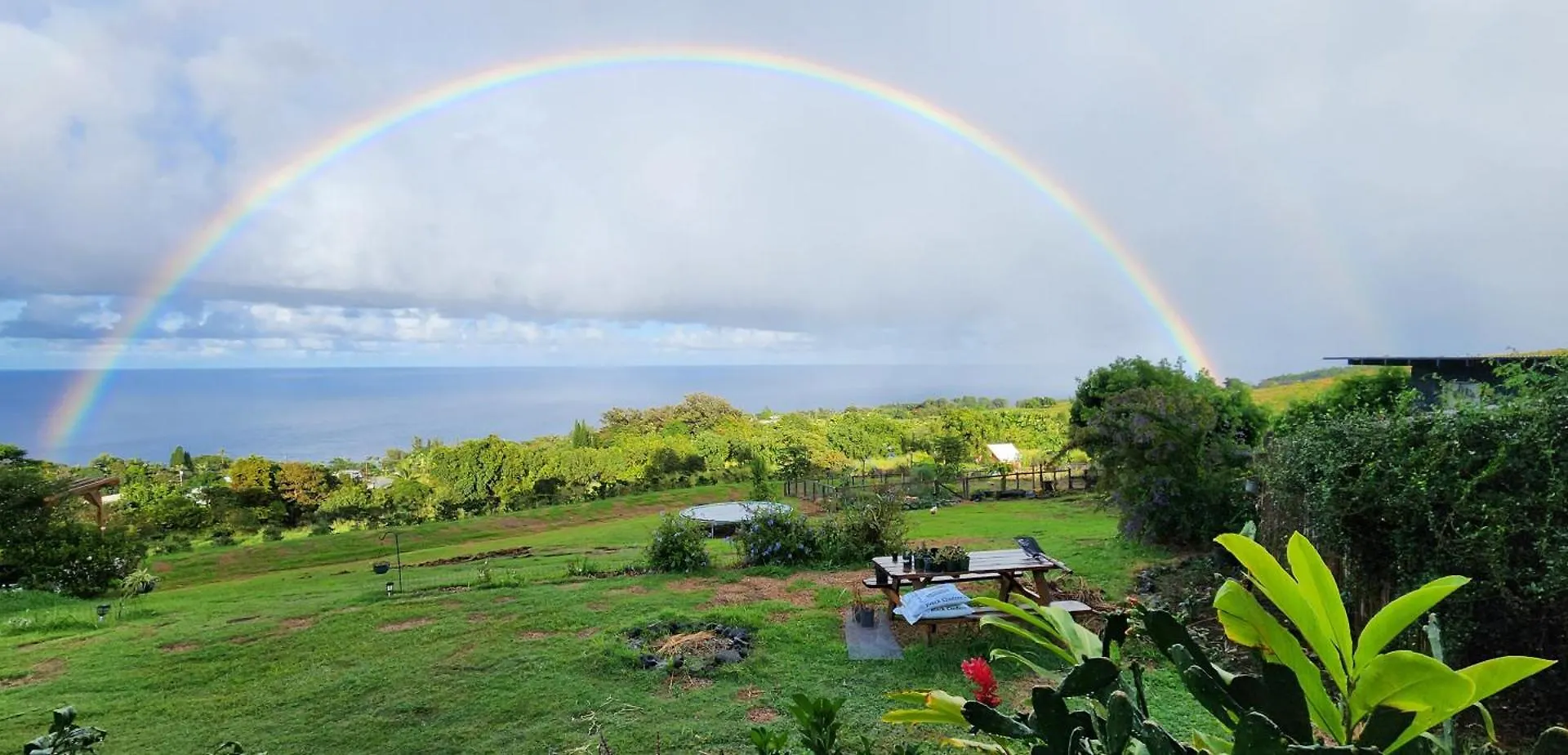 Sunrise Farm Cottage II - 180 Degree Oceanviews Stargazing Whale Watching On Hamakua Coast Hawaii Papaaloa  Holiday home