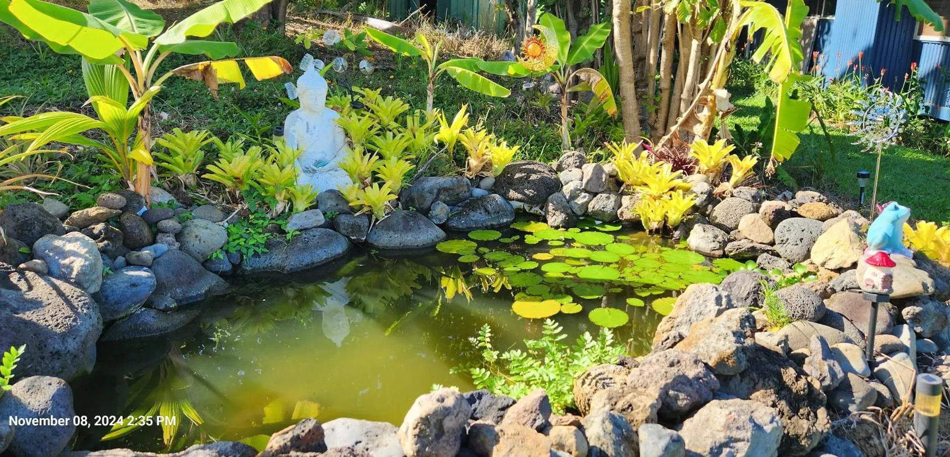 Holiday home Sunrise Farm Cottage II - 180 Degree Oceanviews Stargazing Whale Watching On Hamakua Coast Hawaii Papaaloa